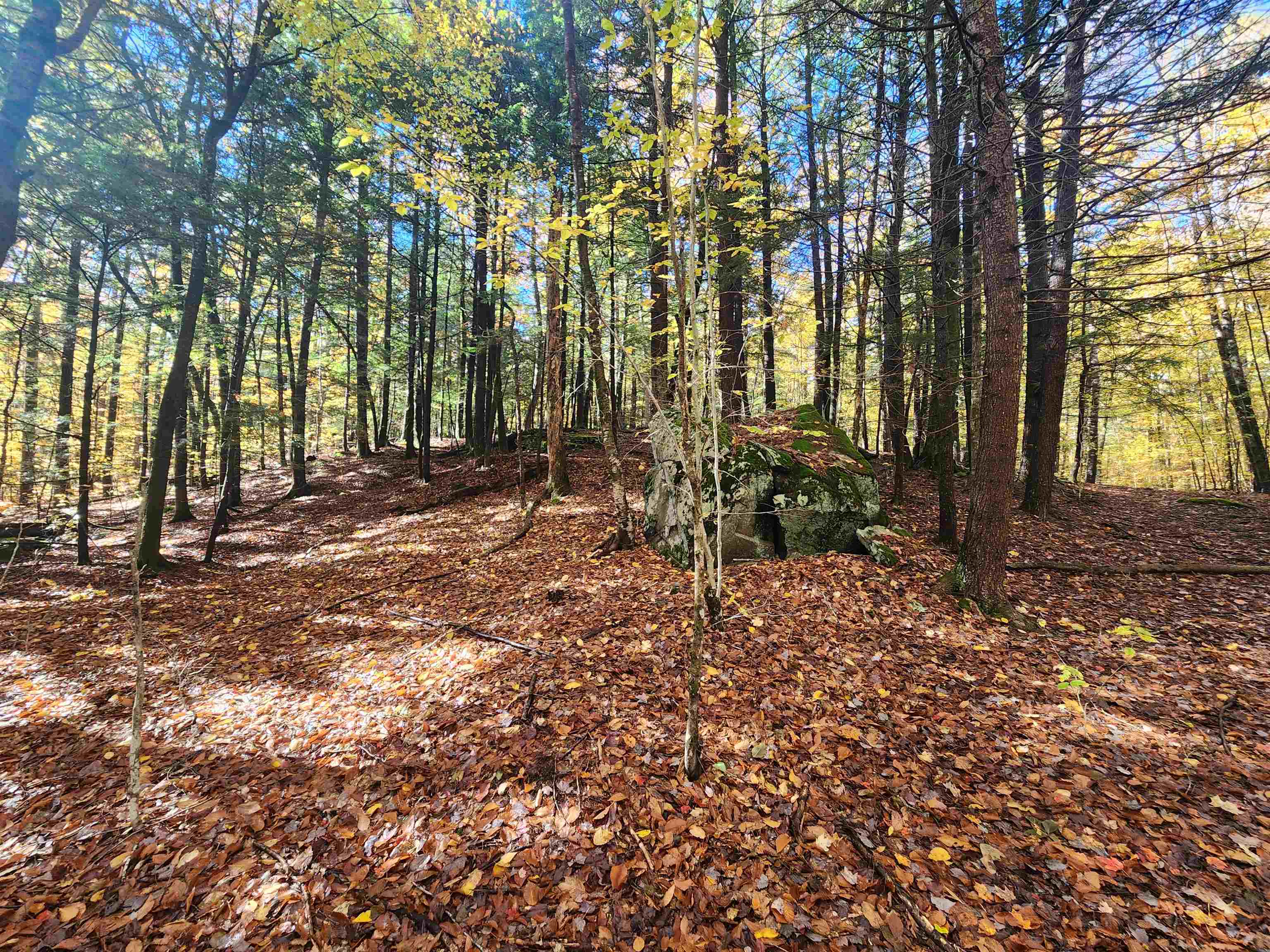 MLS #5025204 image #7