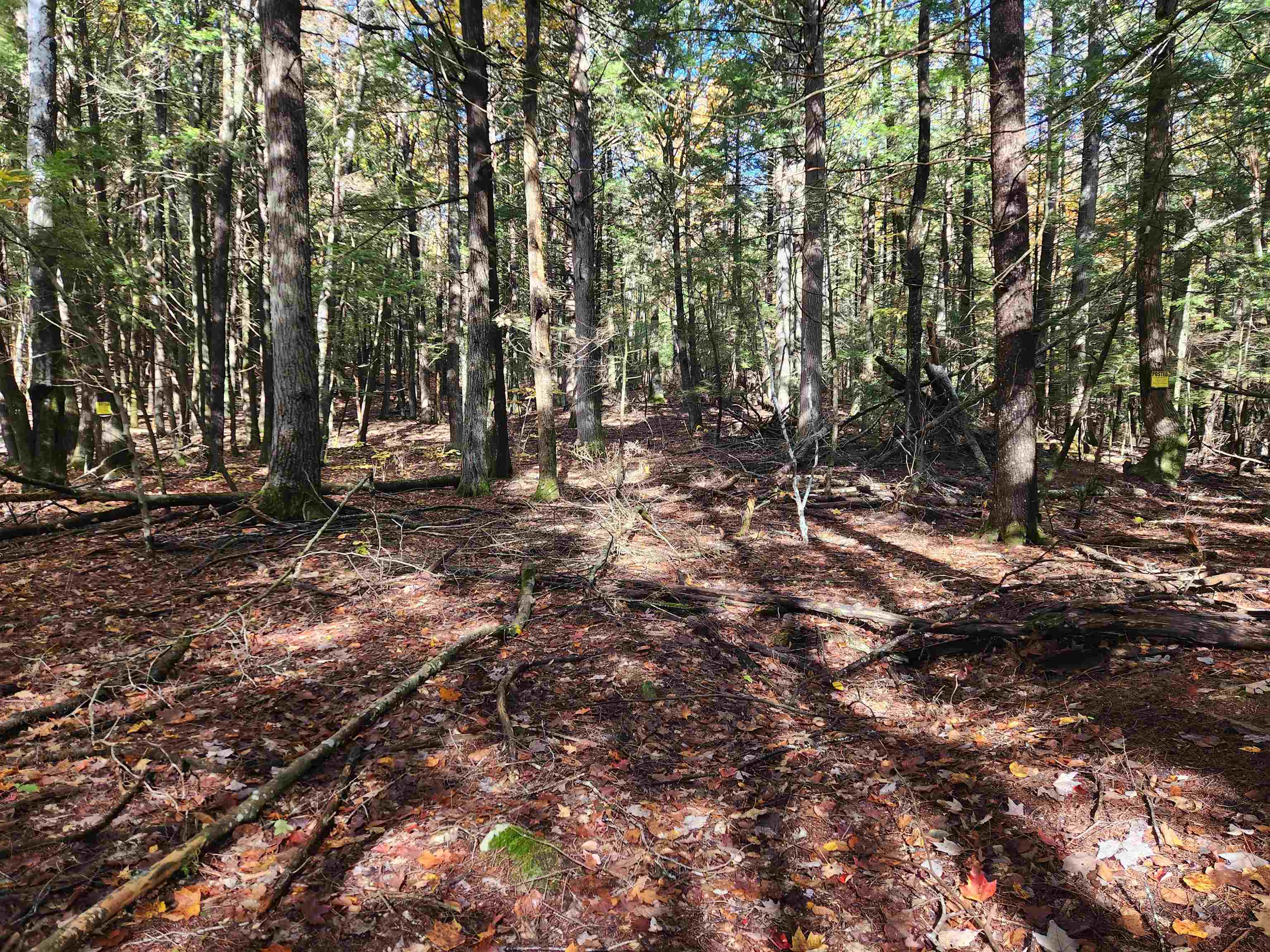 MLS #5025204 image #9