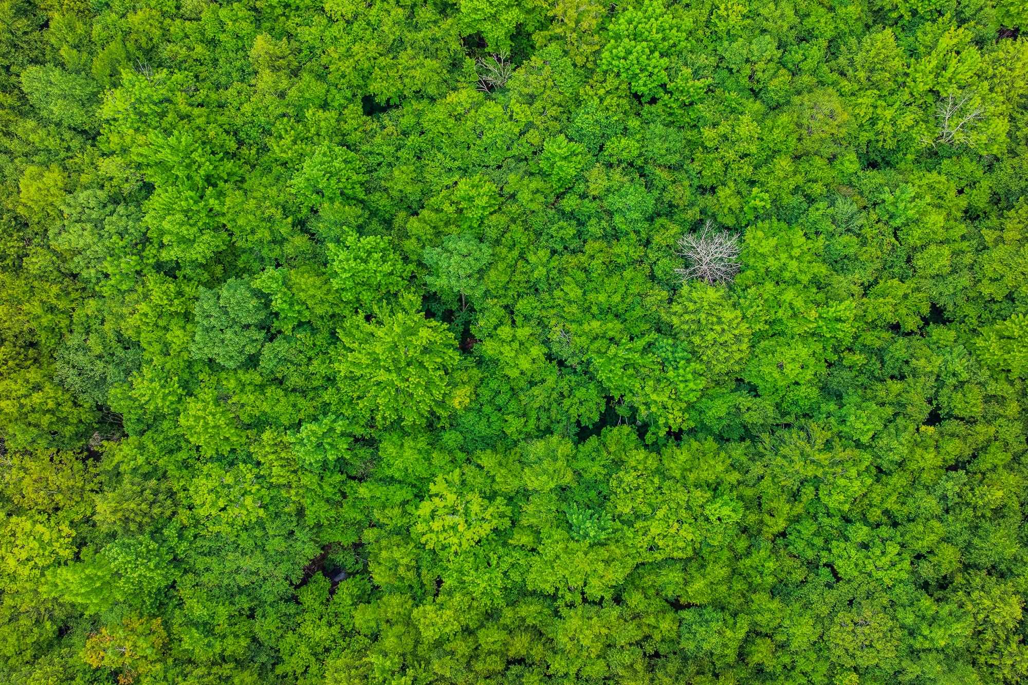 Homes for sale in Sunderland, VT | 0 Alden Ln, Sunderland, VT 05250 | MLS# 5025318