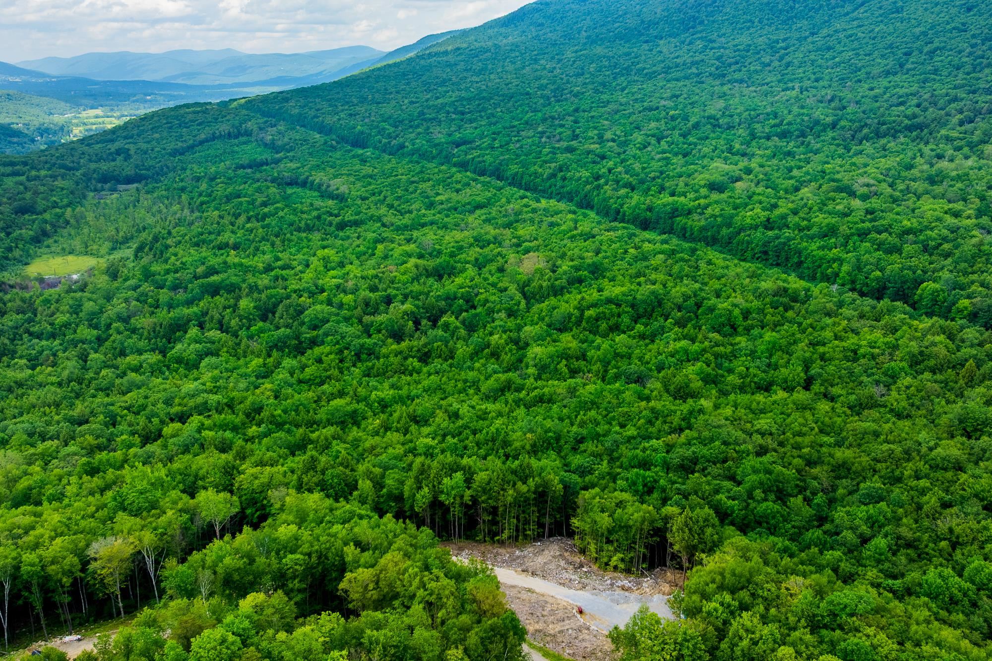 Homes for sale in Sunderland, VT | 0 Alden Ln, Sunderland, VT 05250 | MLS# 5025318