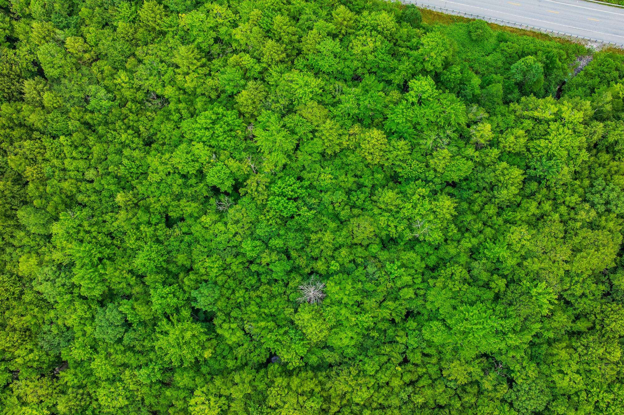 Homes for sale in Sunderland, VT | 0 Alden Ln, Sunderland, VT 05250 | MLS# 5025318