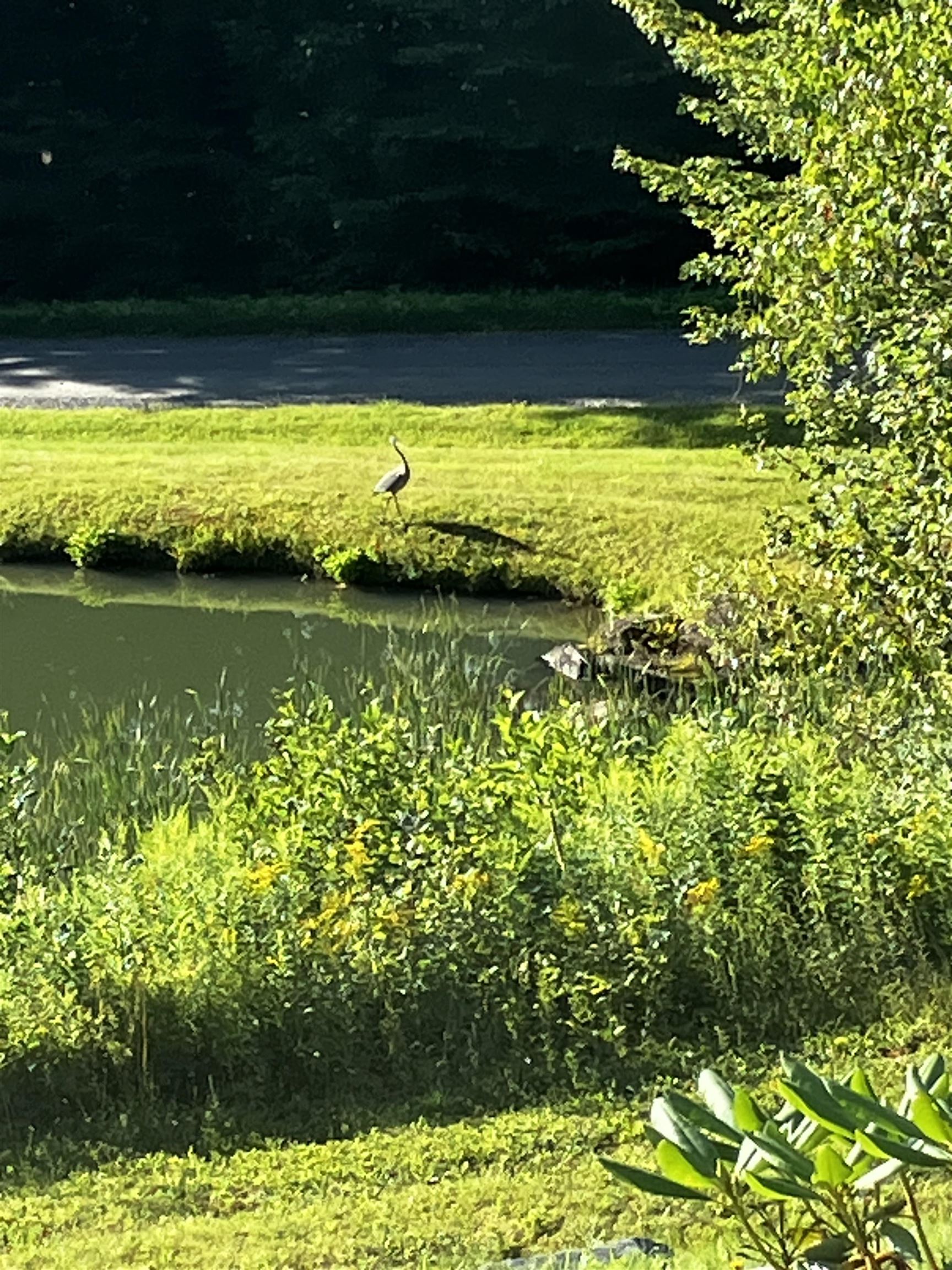 Homes for sale in Dover, VT | 24 Antler Loop, Dover, VT 05356 | MLS# 5025379