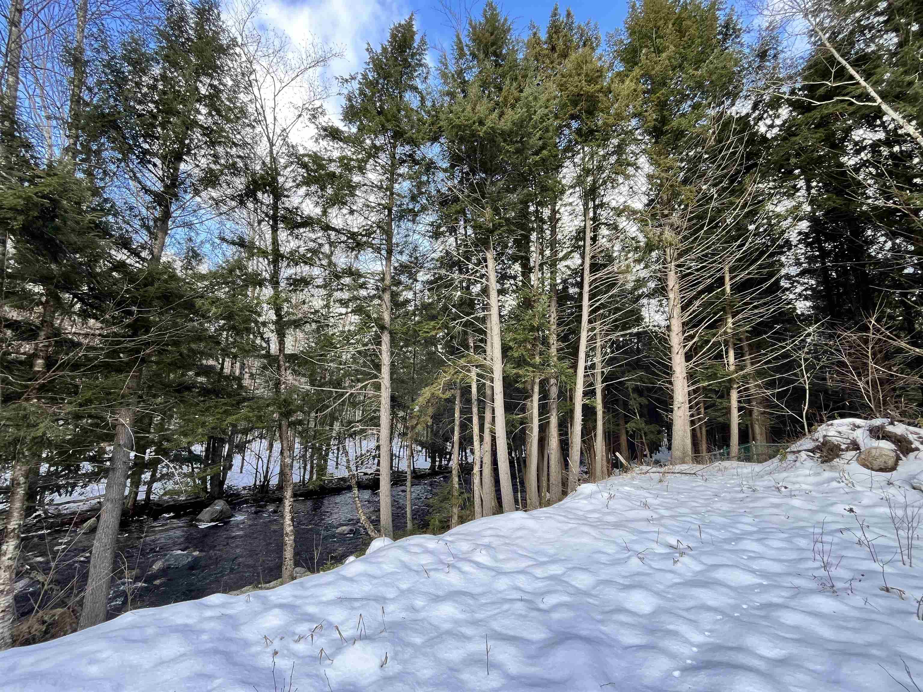 Homes for sale in Lincoln, NH | 00 Goodbout Rd, Lincoln, NH 03251 | MLS# 5025396