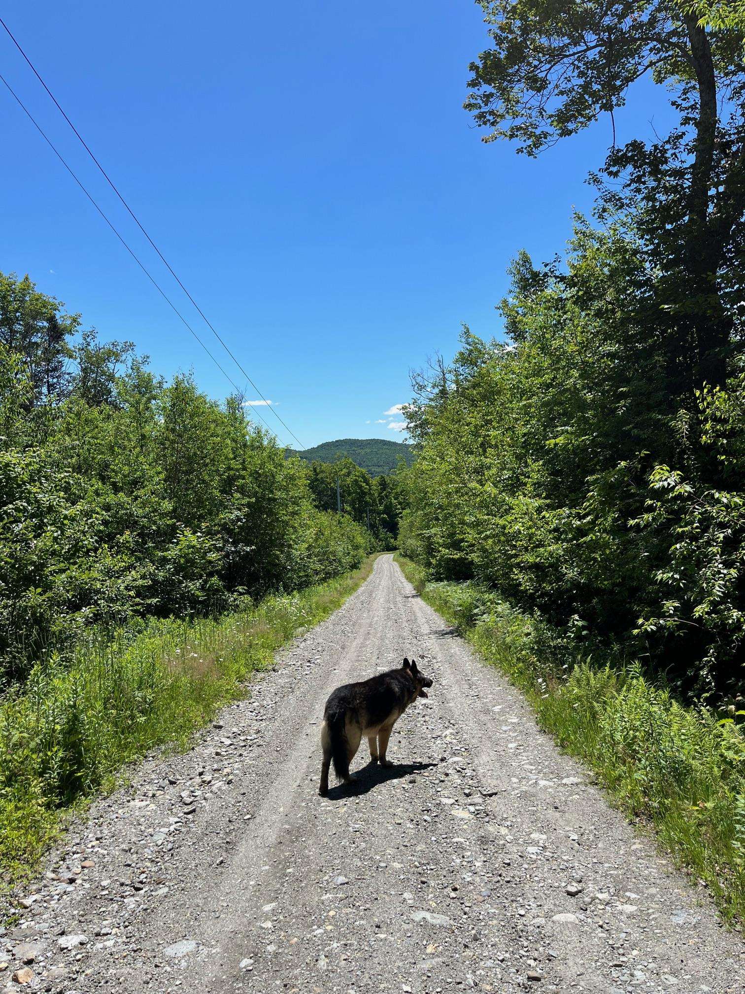 Homes for sale in Jay, VT | 3c Westover Rd, Jay, VT 05859 | MLS# 5025760