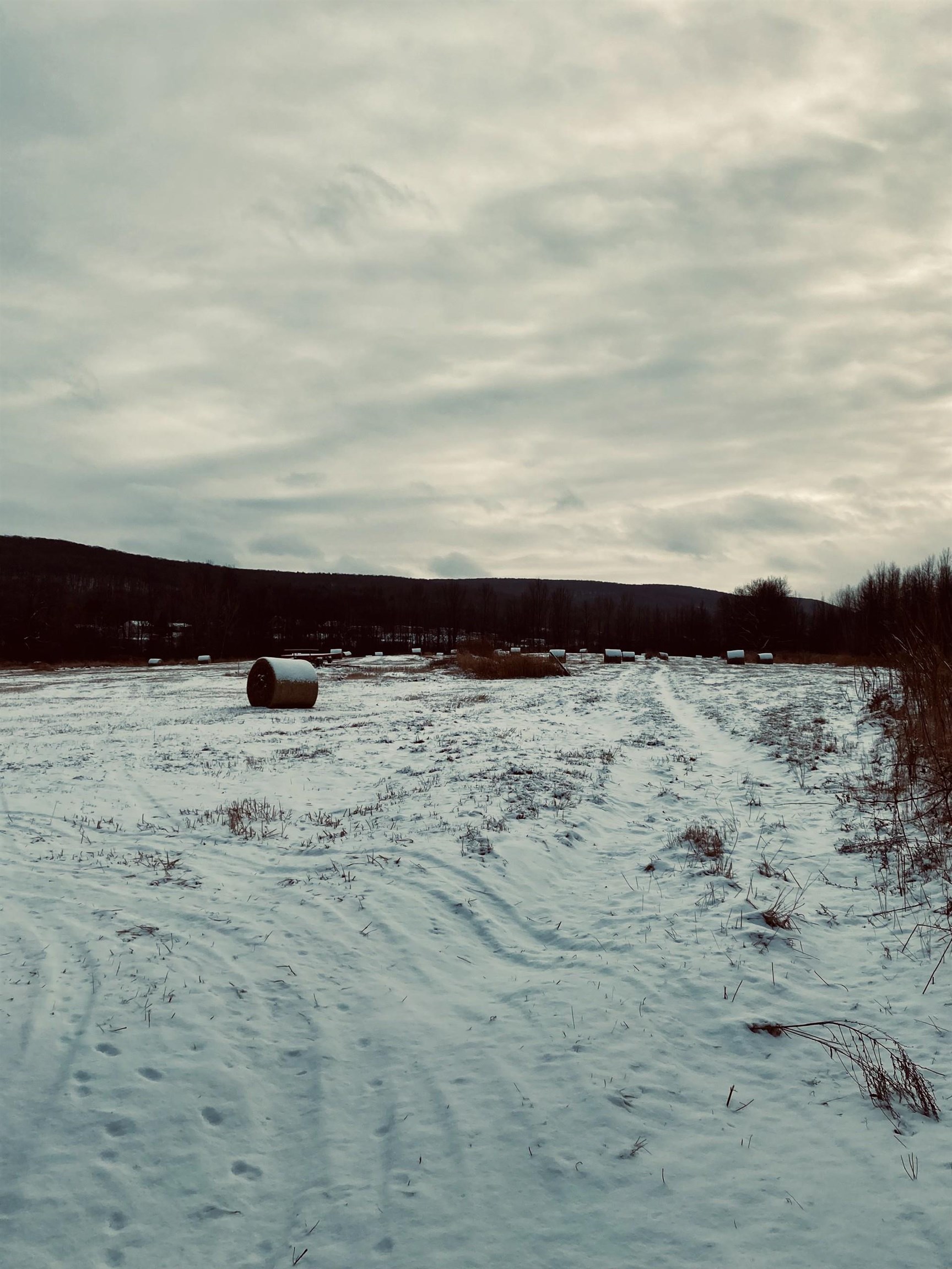 Homes for sale in Swanton, VT | Lot 2 Off Viens Rd, Swanton, VT 05488 | MLS# 5025941