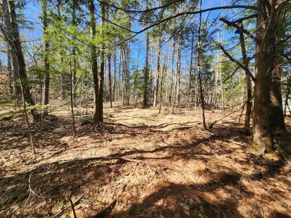 MLS #5026007 image #12