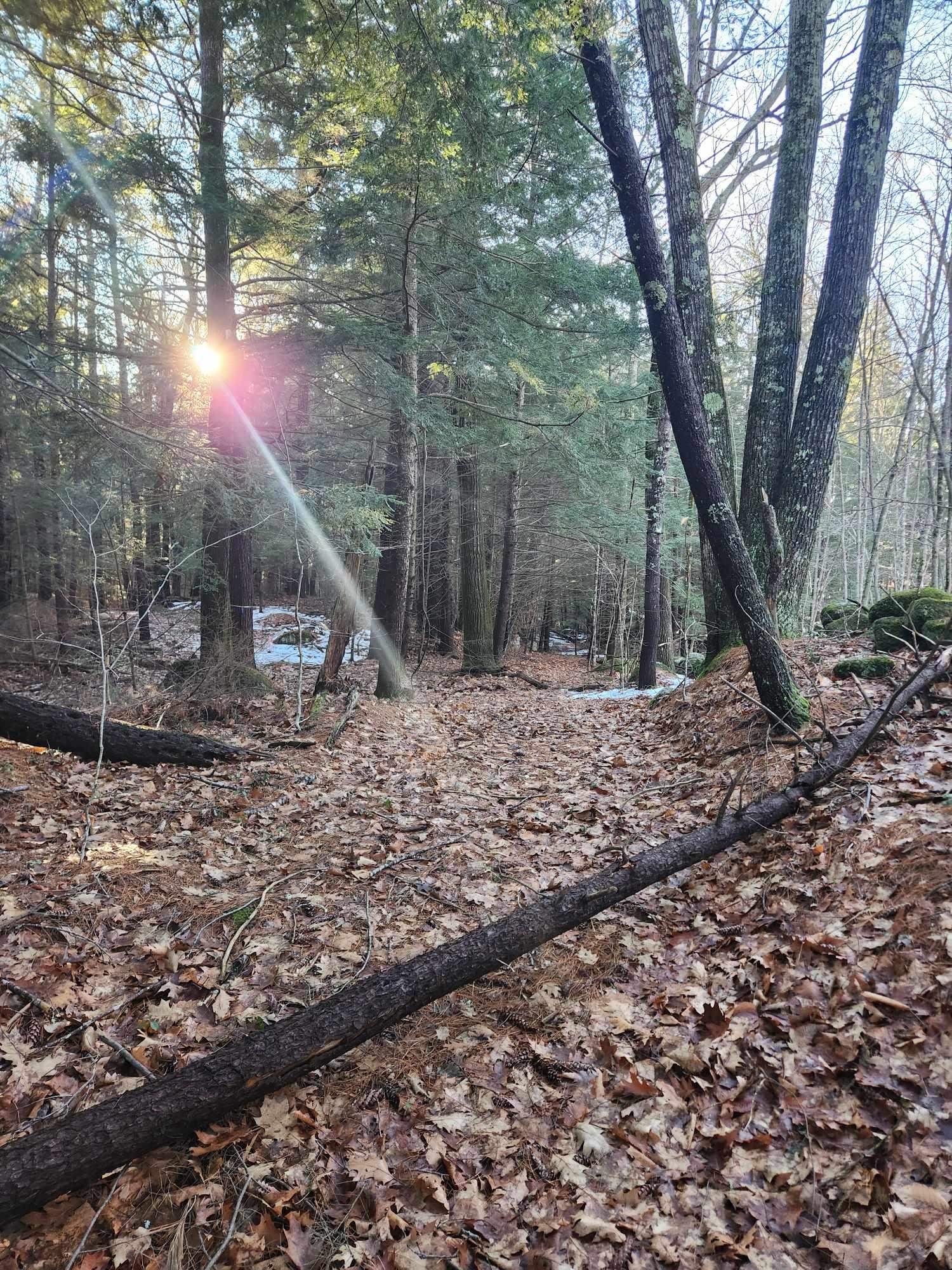 MLS #5026007 image #14