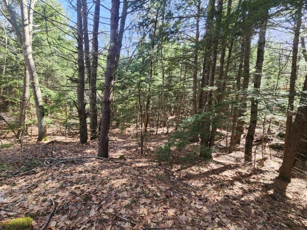 MLS #5026007 image #21