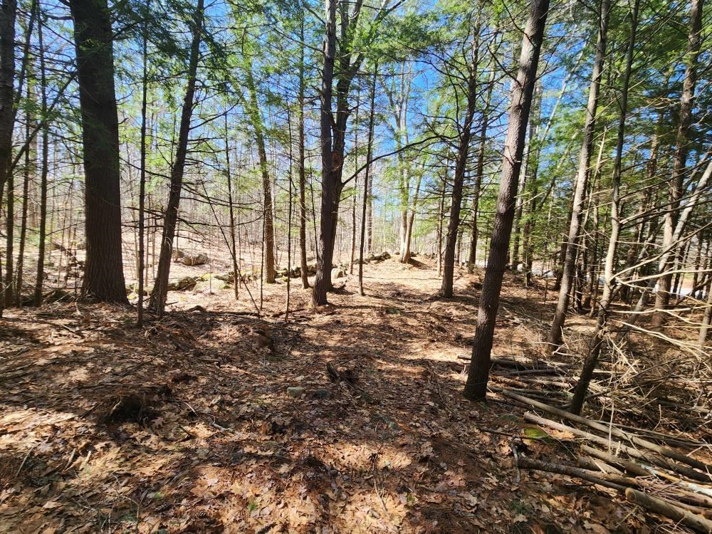 MLS #5026007 image #22