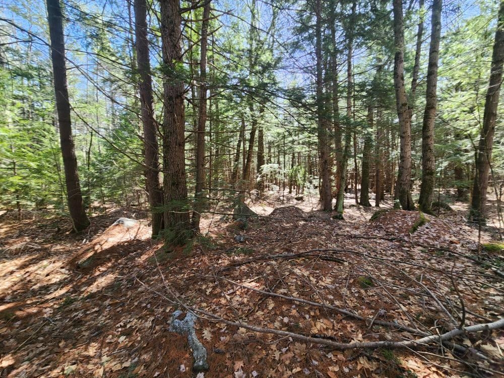 MLS #5026007 image #26