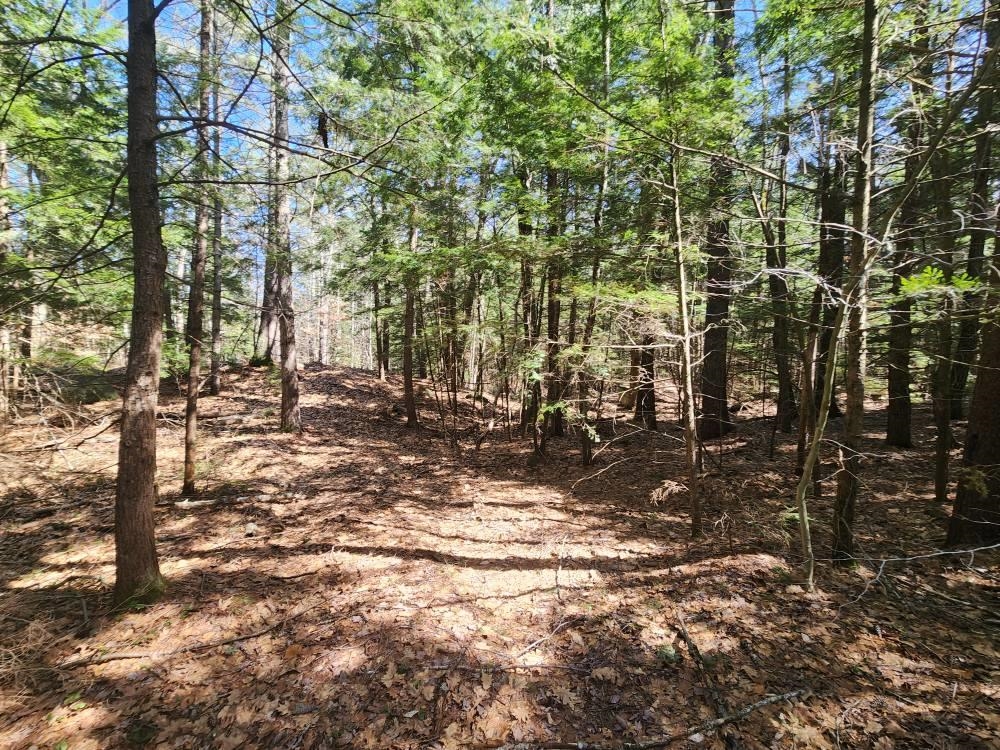 MLS #5026007 image #27