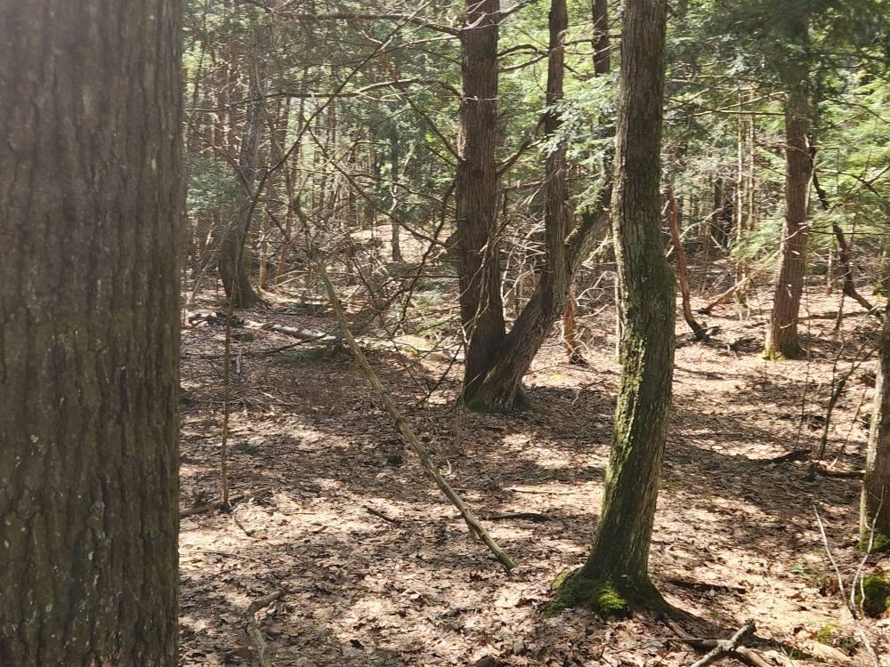 MLS #5026007 image #31