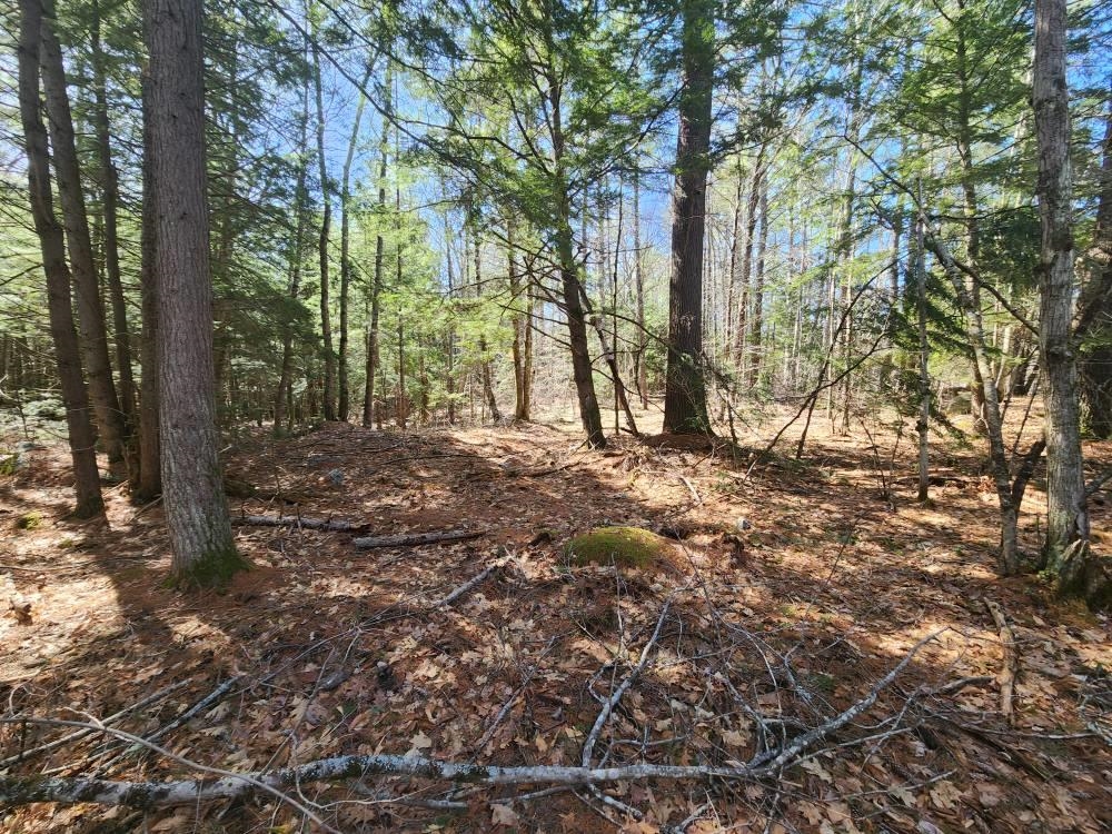 MLS #5026007 image #40