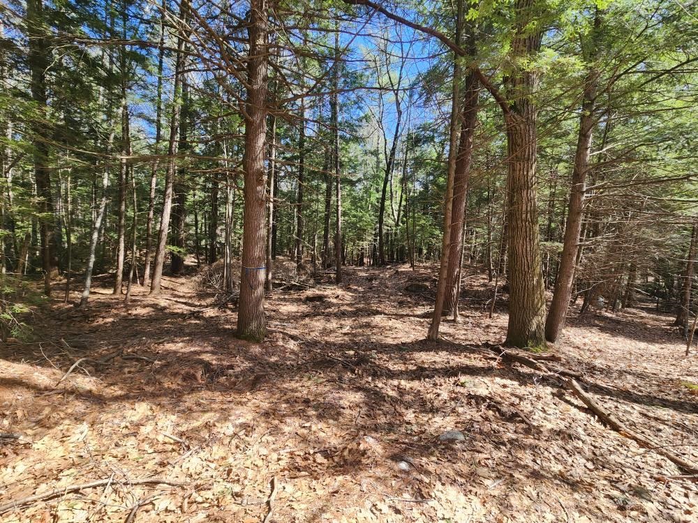 MLS #5026007 image #44