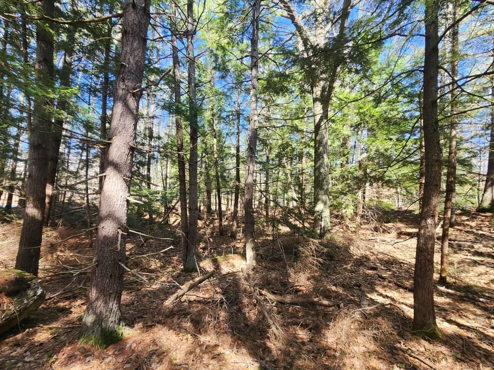 MLS #5026007 image #45