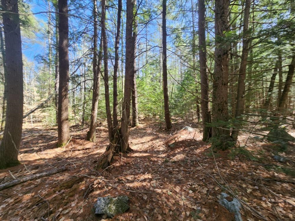 MLS #5026007 image #46