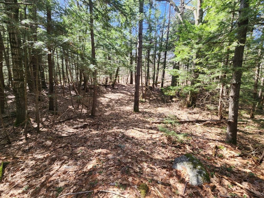 MLS #5026007 image #7