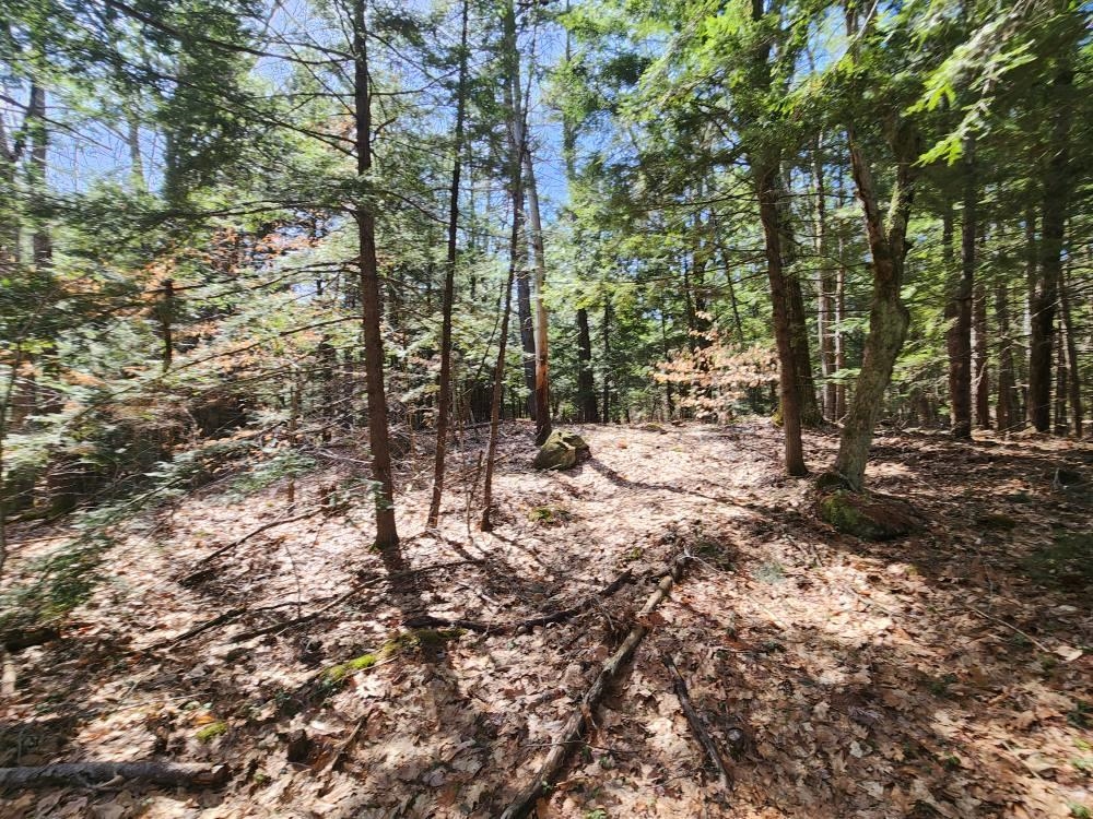 Homes for sale in Hillsborough, NH | 1 West Main St, Hillsborough, NH 03244 | MLS# 5026009