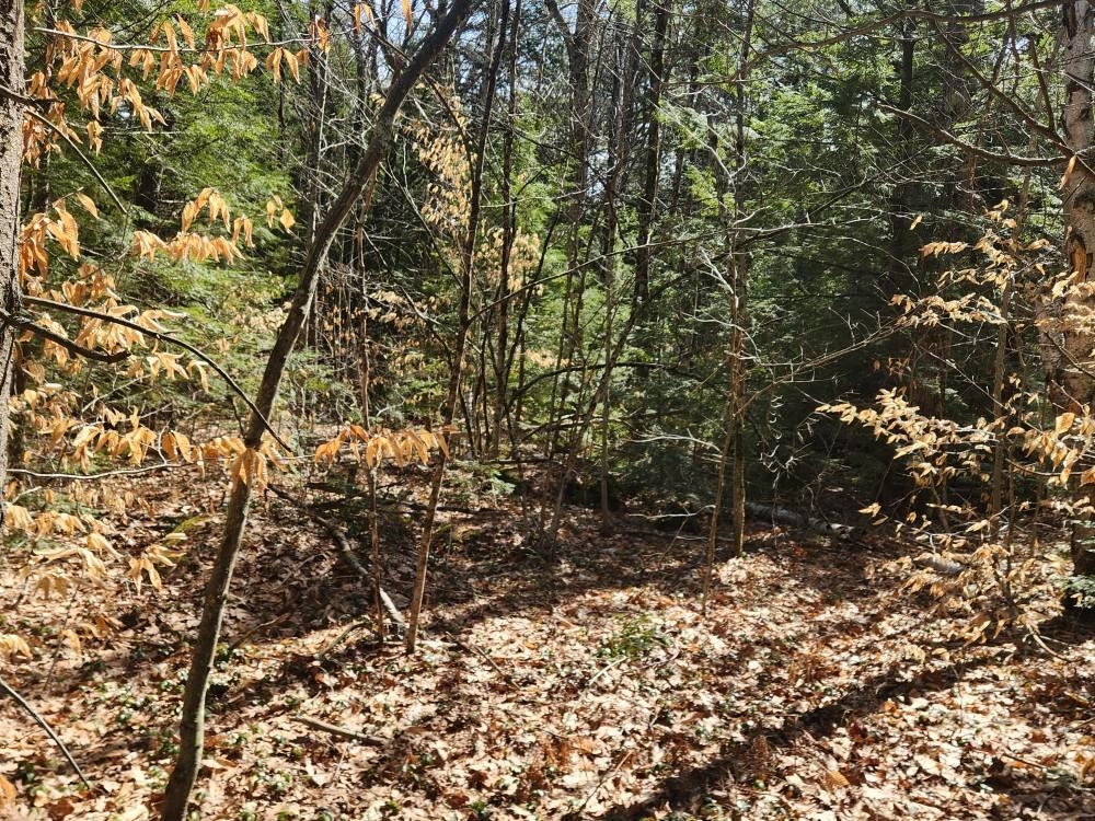 Homes for sale in Hillsborough, NH | 1 West Main St, Hillsborough, NH 03244 | MLS# 5026009