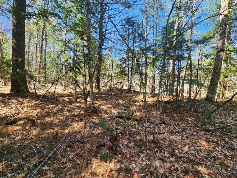 Homes for sale in Hillsborough, NH | 1 West Main St, Hillsborough, NH 03244 | MLS# 5026009