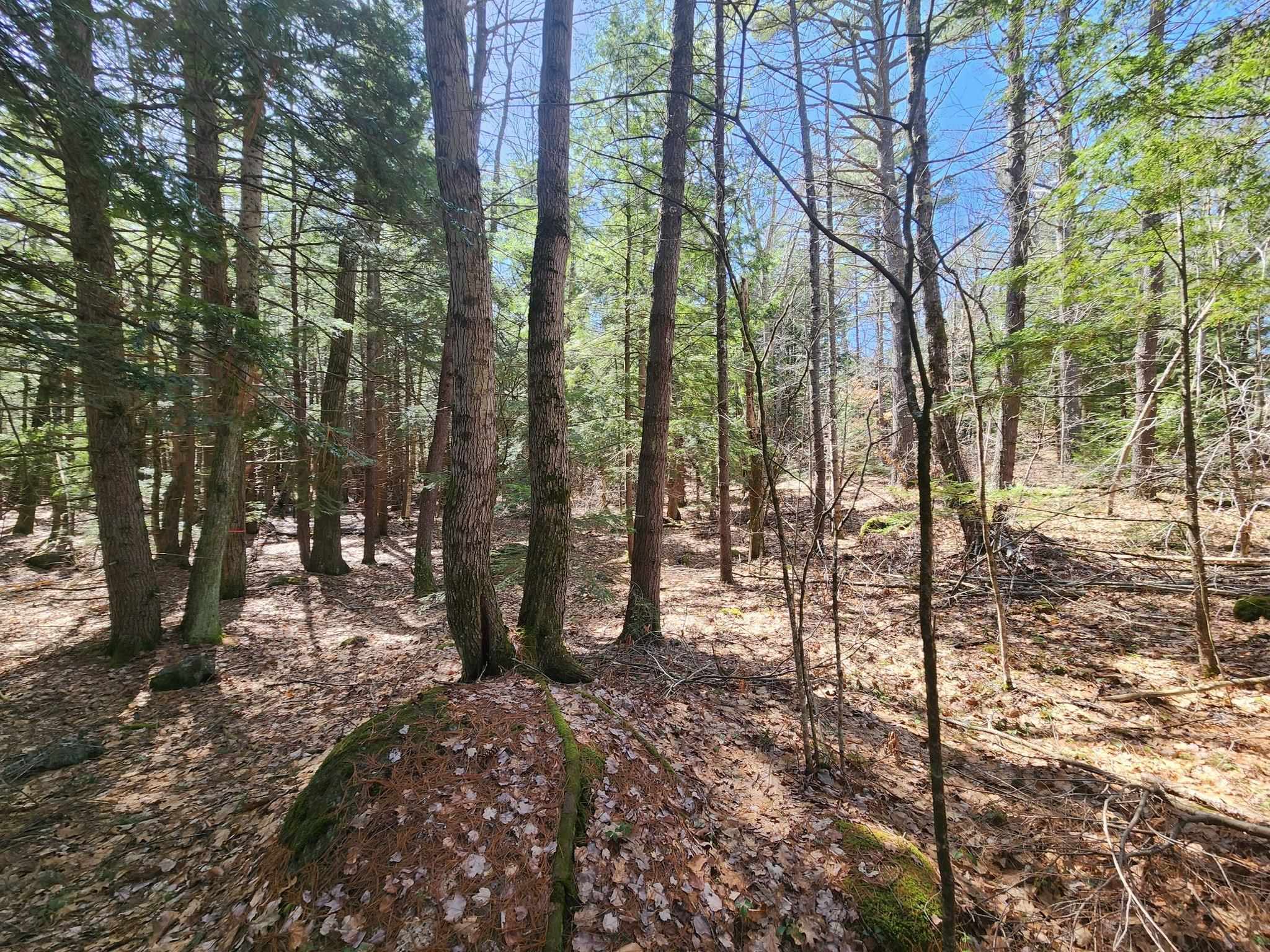 Homes for sale in Hillsborough, NH | 1 West Main St, Hillsborough, NH 03244 | MLS# 5026009