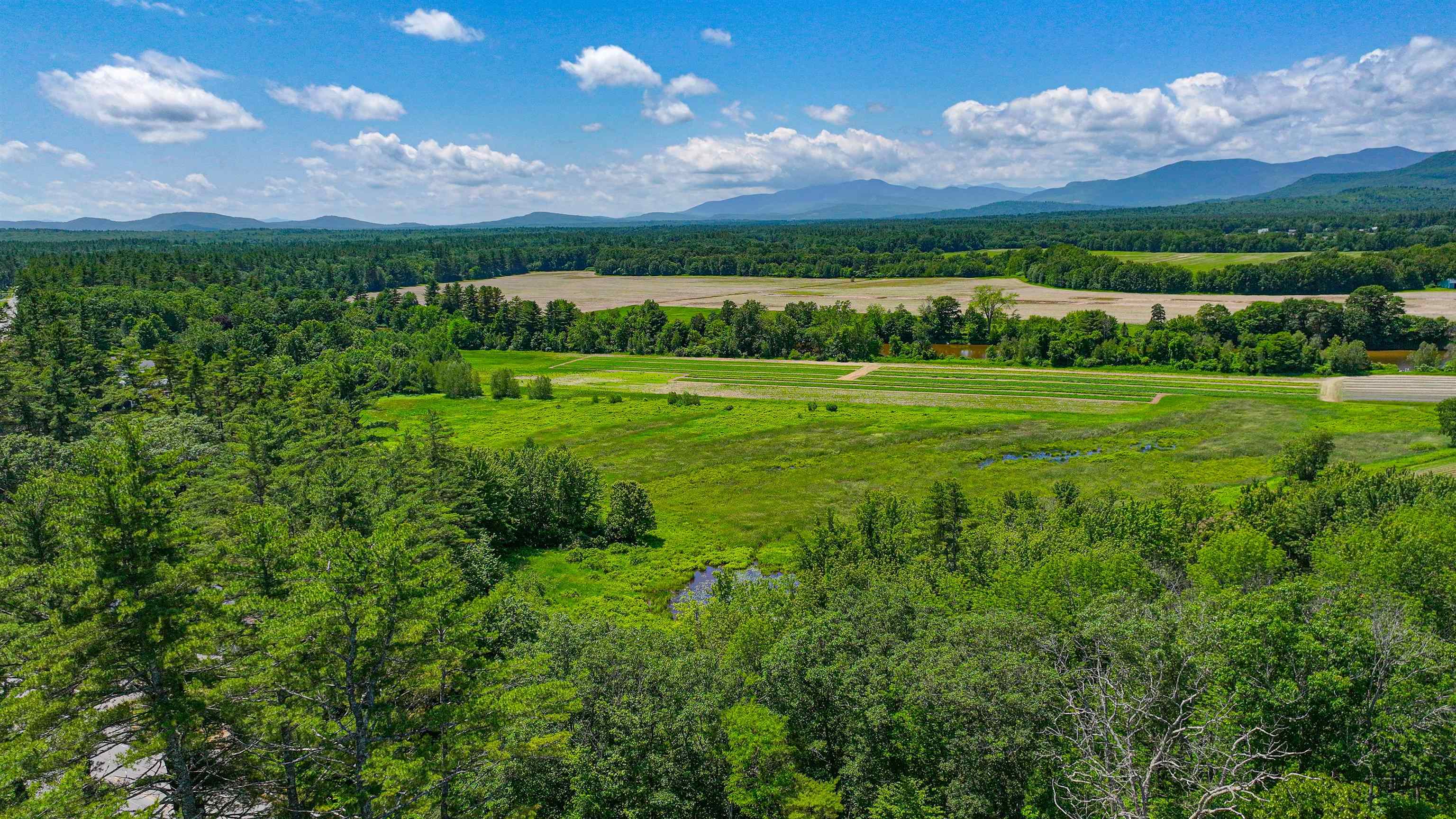 MLS #5026089 image #39