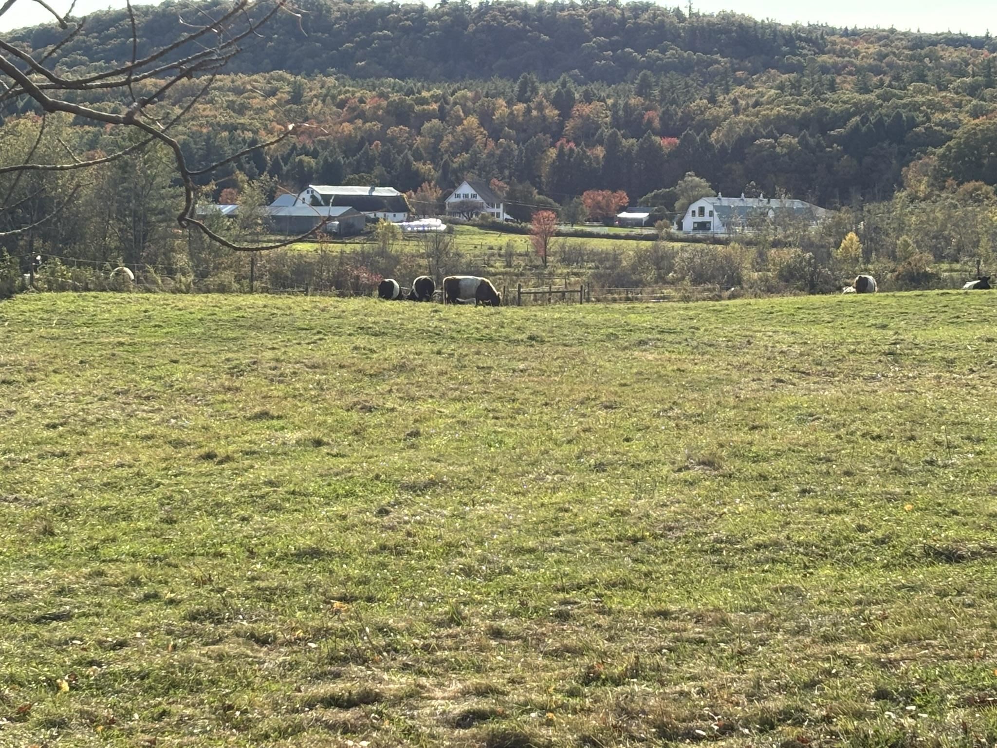 Homes for sale in Hancock, NH | 00 Middle Rd, Hancock, NH 03449 | MLS# 5026182