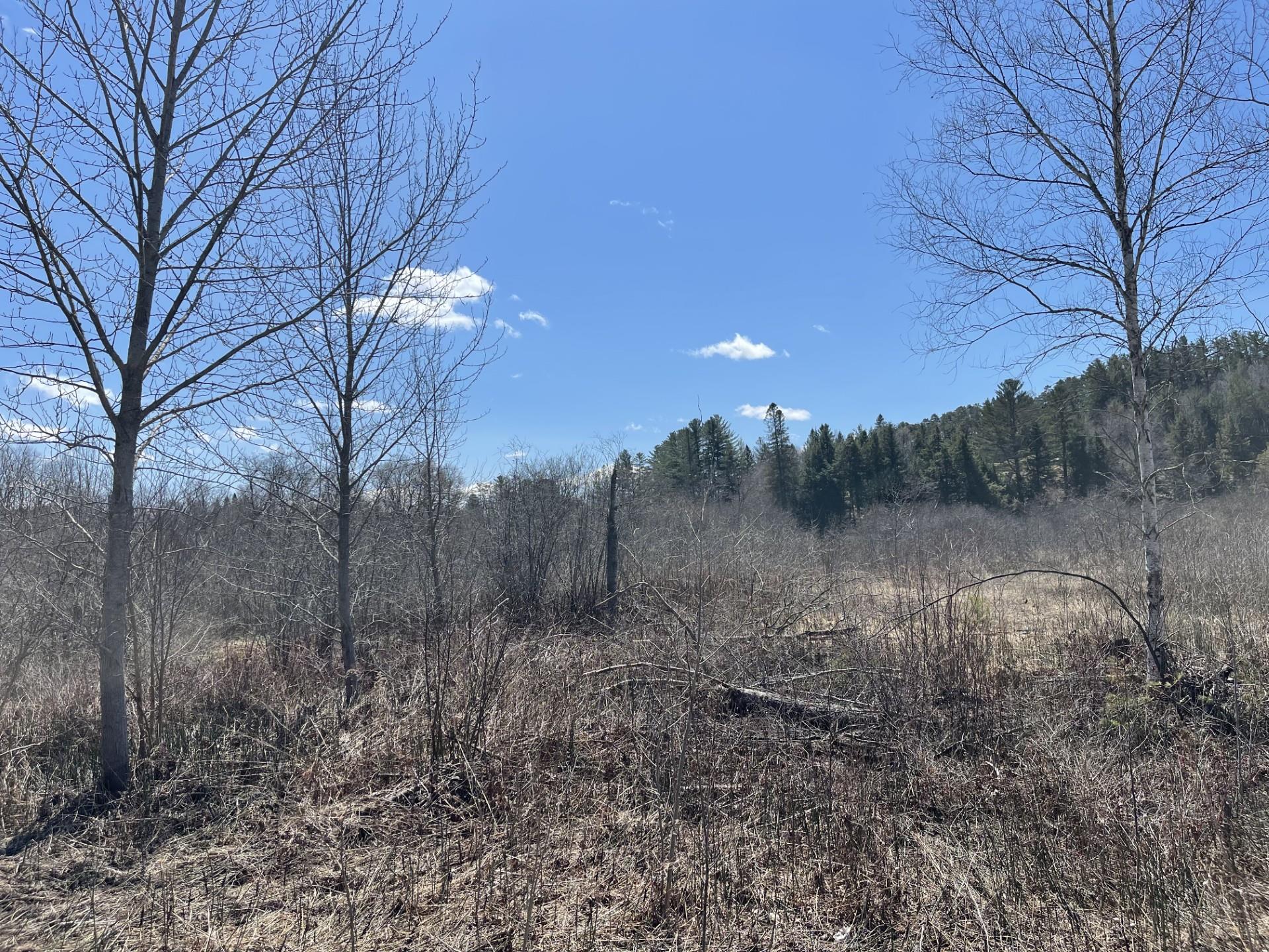 Homes for sale in Lyndon, VT | 00 Gilman Rd, Lyndon, VT 05851 | MLS# 5026270