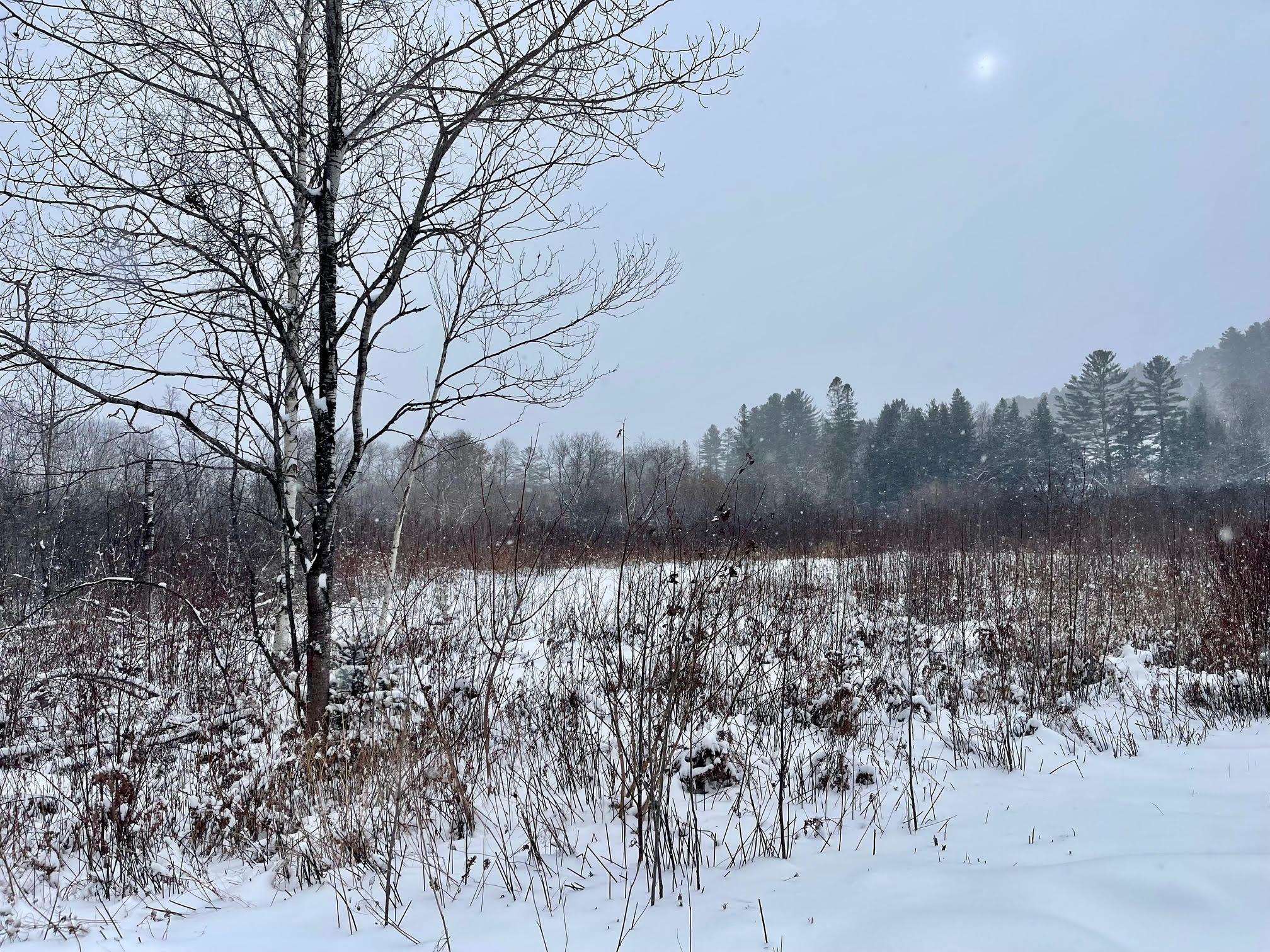 Homes for sale in Lyndon, VT | 00 Gilman Rd, Lyndon, VT 05851 | MLS# 5026270