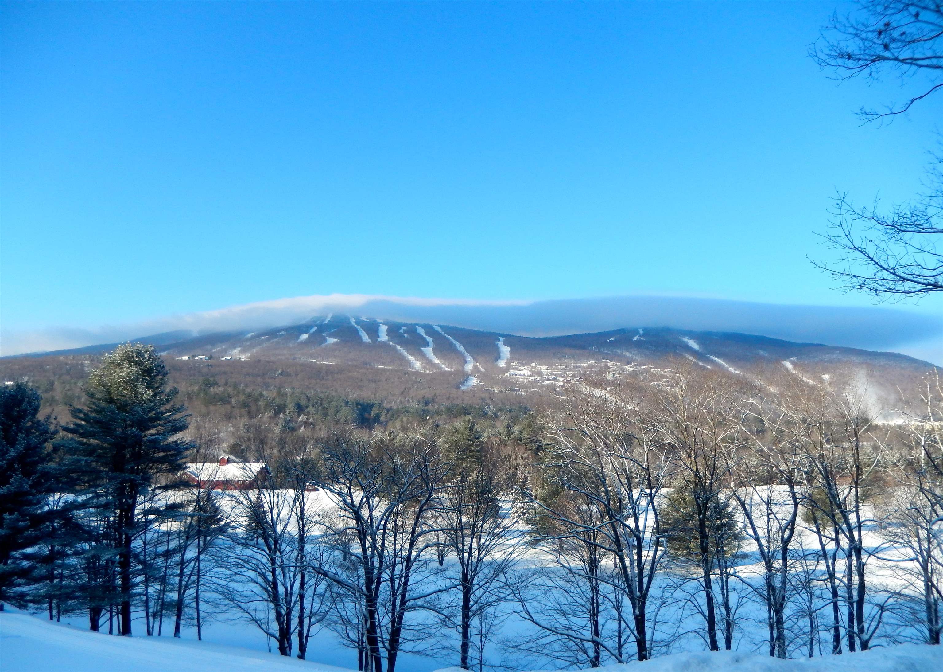 Homes for sale in Ludlow, VT | Lot 48 Partridge Rd, Ludlow, VT 05149 | MLS# 5026281