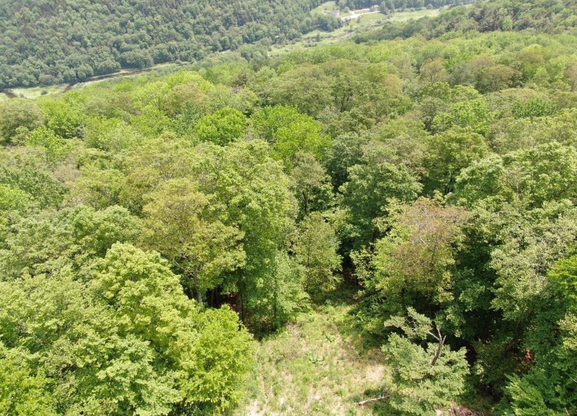 Homes for sale in Killington, VT | R-5 Ledge End Rd, Killington, VT 05751 | MLS# 5026415