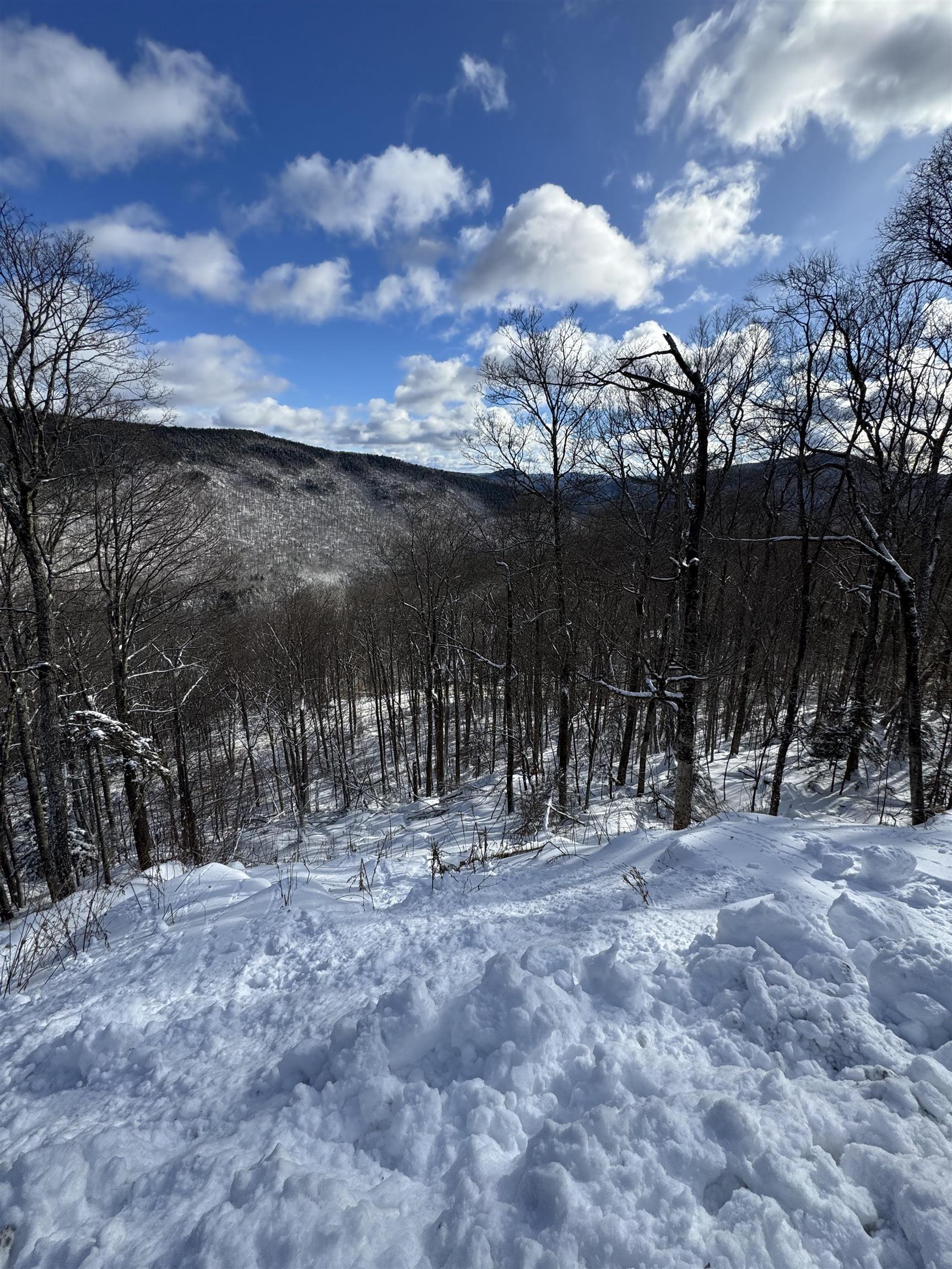 Homes for sale in Killington, VT | R-5 Ledge End Rd, Killington, VT 05751 | MLS# 5026415