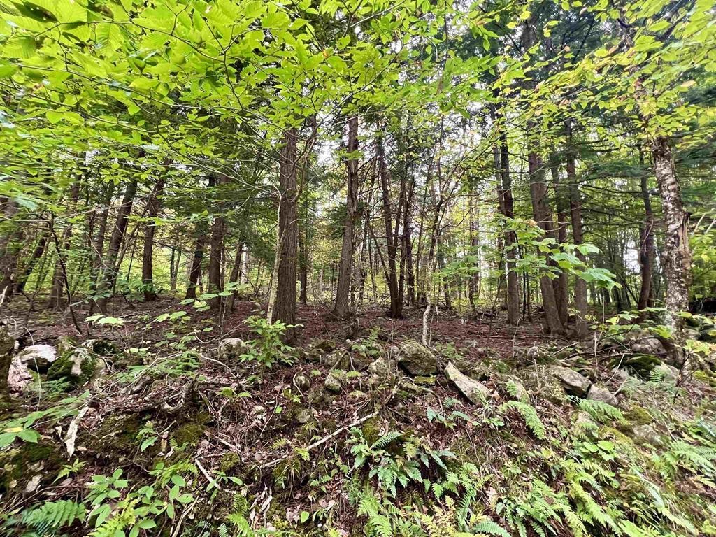 Homes for sale in Bradford, VT | 0 Kidder Rd, Bradford, VT 05033 | MLS# 5026479