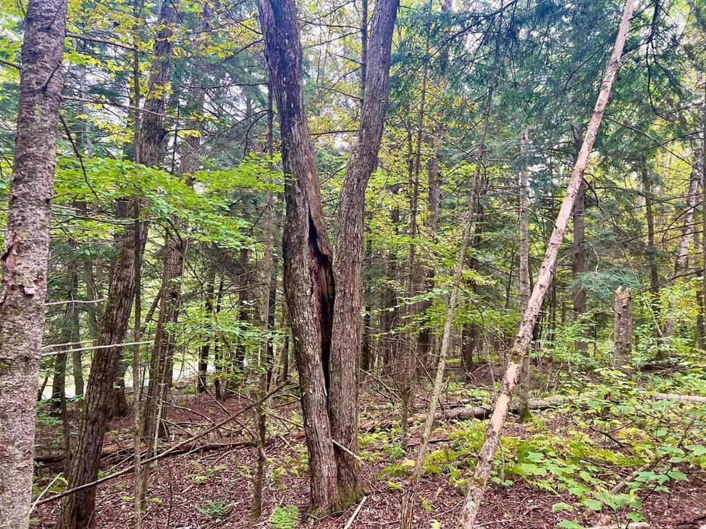 Homes for sale in Bradford, VT | 0 Kidder Rd, Bradford, VT 05033 | MLS# 5026479