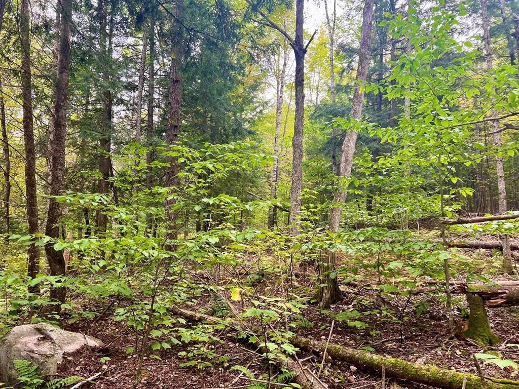 Homes for sale in Bradford, VT | 0 Kidder Rd, Bradford, VT 05033 | MLS# 5026479