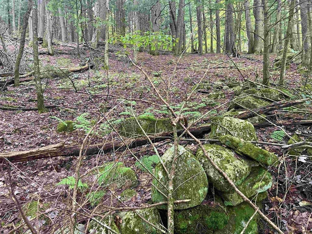 Homes for sale in Bradford, VT | 0 Kidder Rd, Bradford, VT 05033 | MLS# 5026479