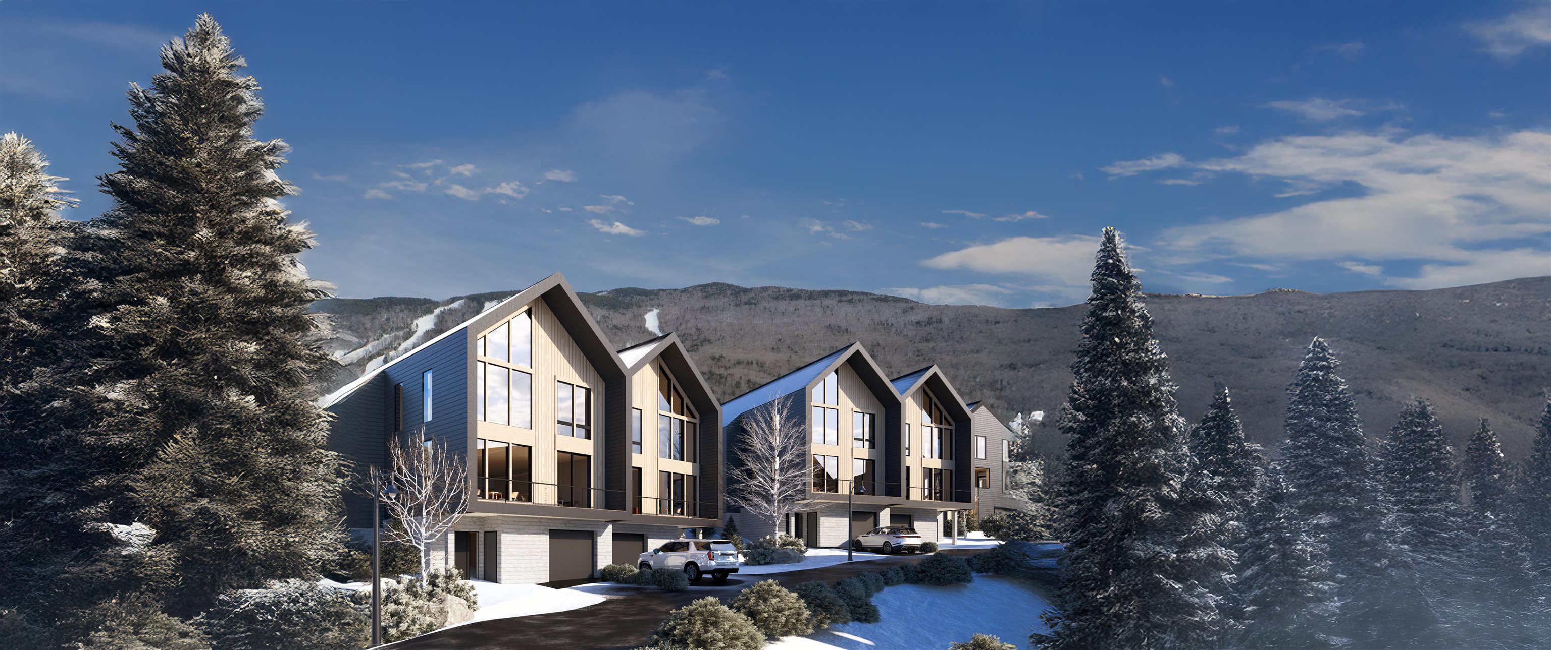 Homes for sale in Lincoln, NH | 2a Firelight Ln #2A, Lincoln, NH 03251 | MLS# 5026486