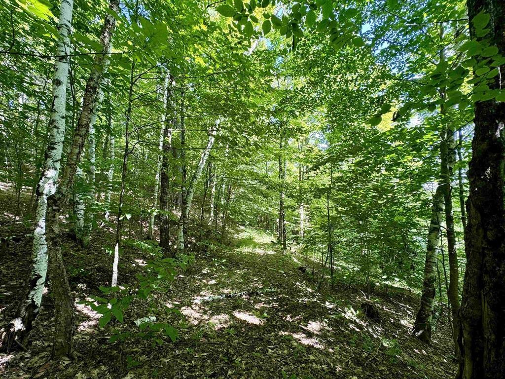 Homes for sale in Topsham, VT | 0 Crosby Rd, Topsham, VT 05076 | MLS# 5026588