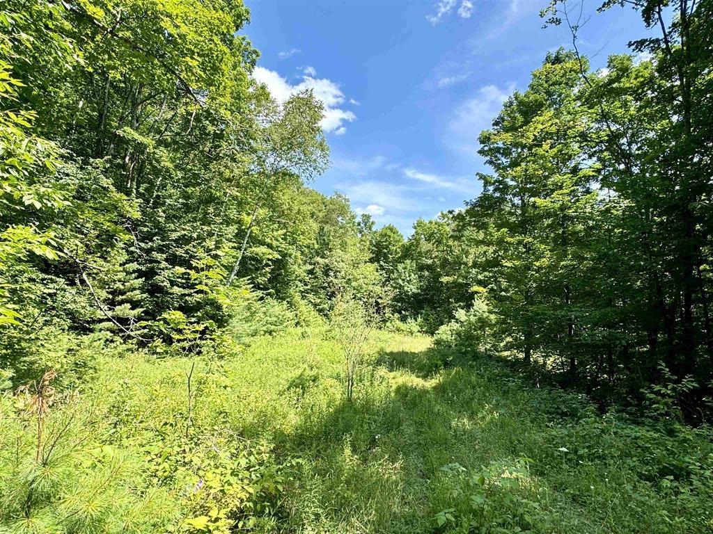 Homes for sale in Topsham, VT | 0 Crosby Rd, Topsham, VT 05076 | MLS# 5026588