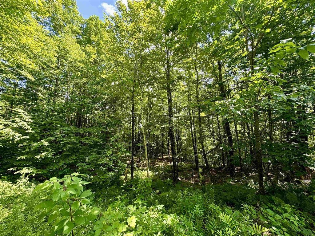 Homes for sale in Topsham, VT | 0 Crosby Rd, Topsham, VT 05076 | MLS# 5026588