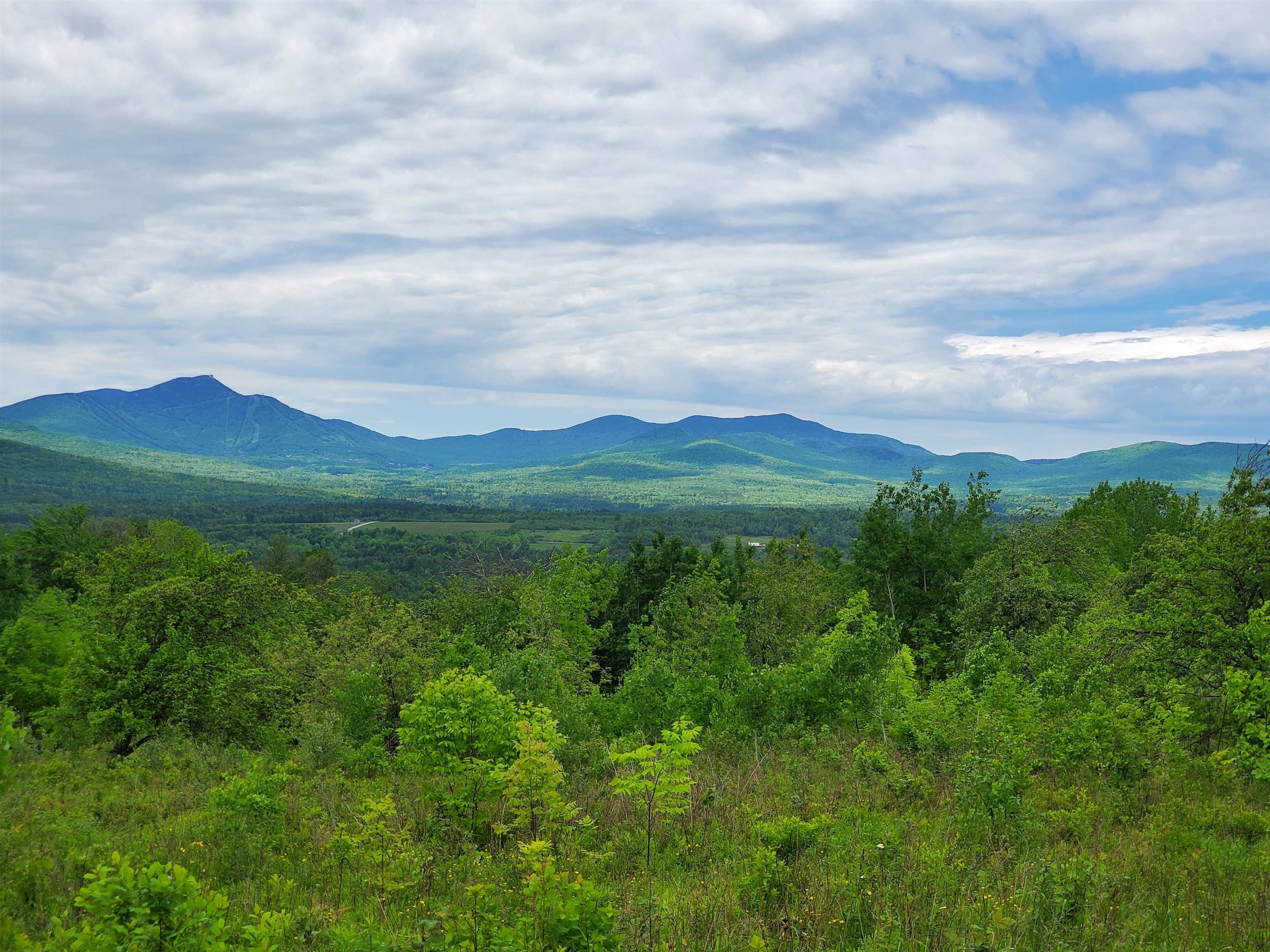Homes for sale in Troy, VT | 00 Bergerpn Rd, Troy, VT 05859 | MLS# 5026626