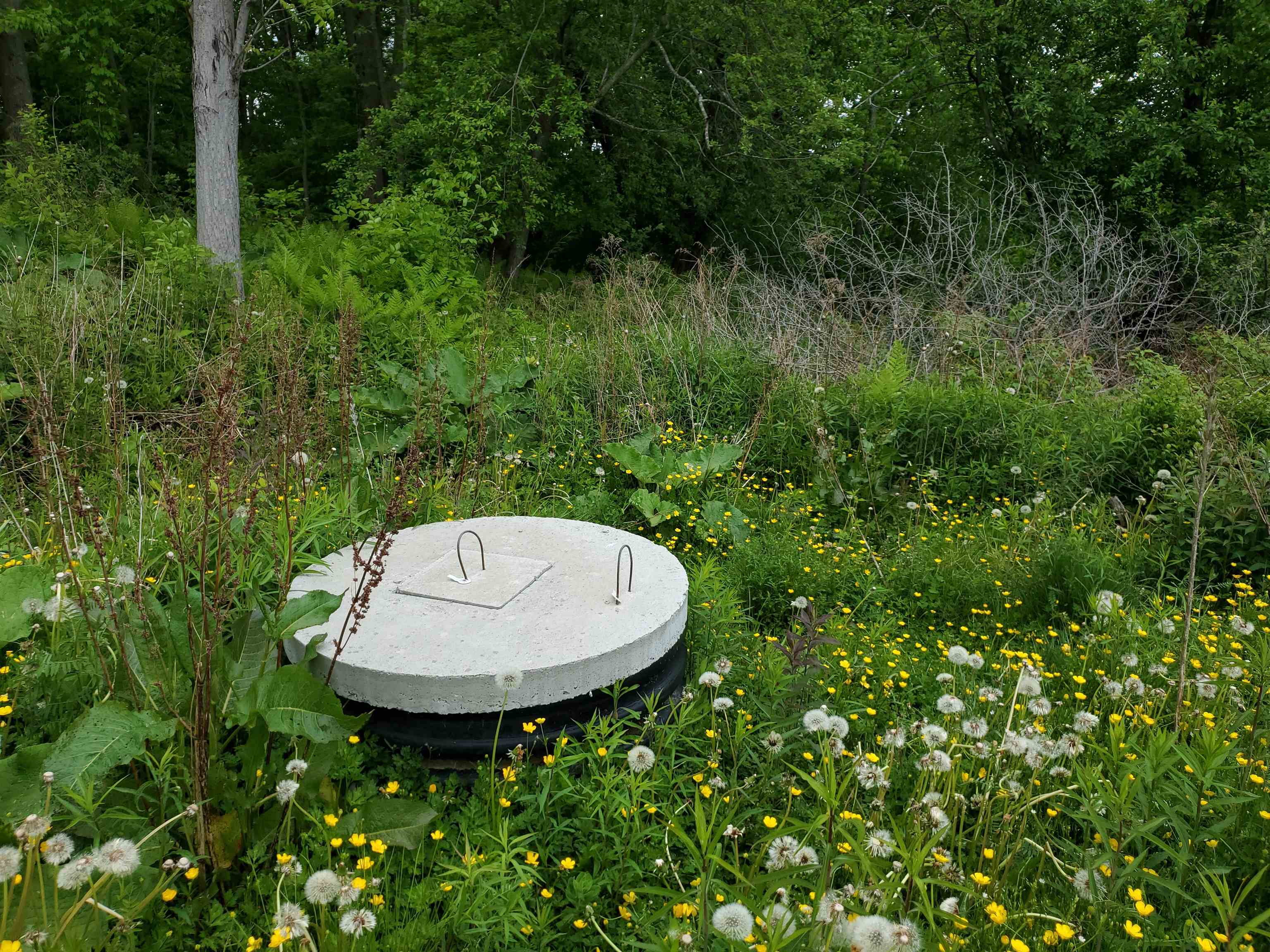 Homes for sale in Troy, VT | 00 Bergerpn Rd, Troy, VT 05859 | MLS# 5026626