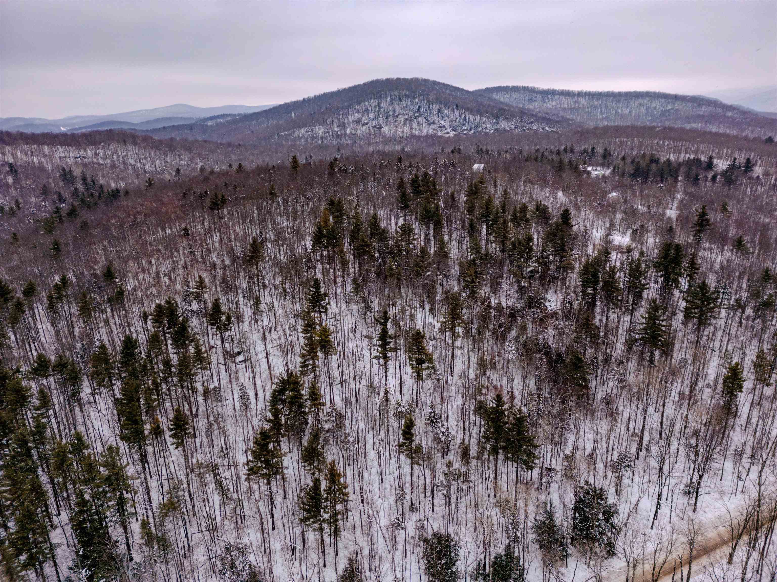 MLS #5026658 image #11