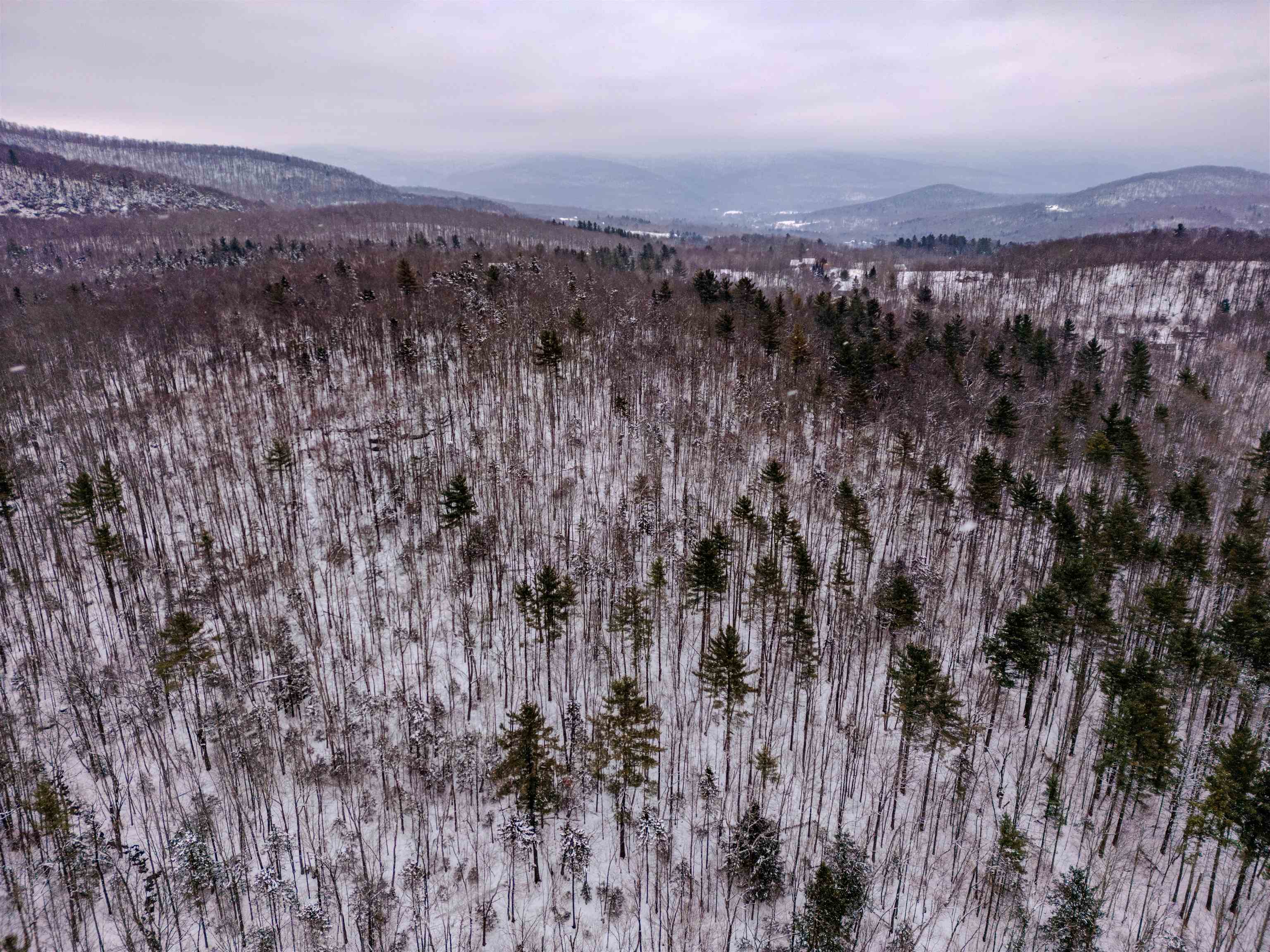 MLS #5026658 image #13