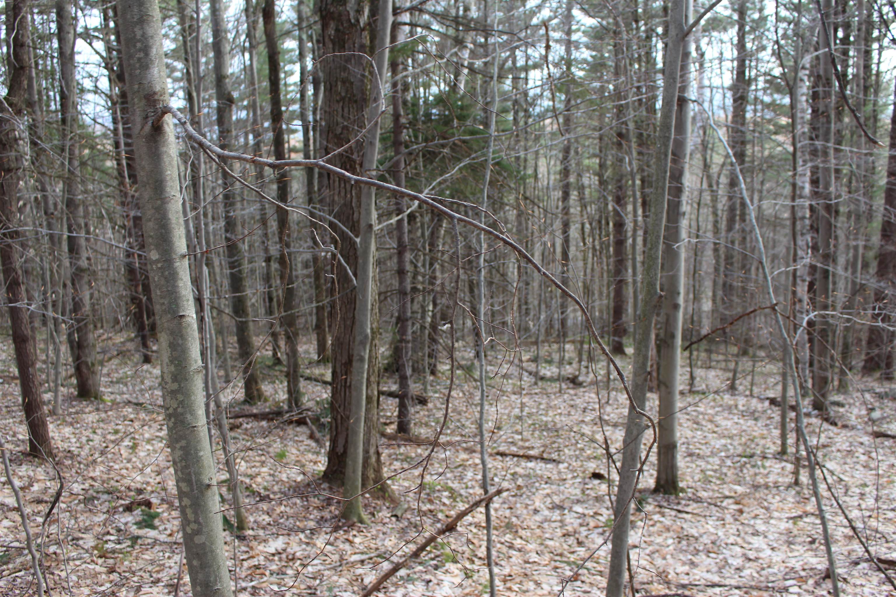 MLS #5026658 image #15