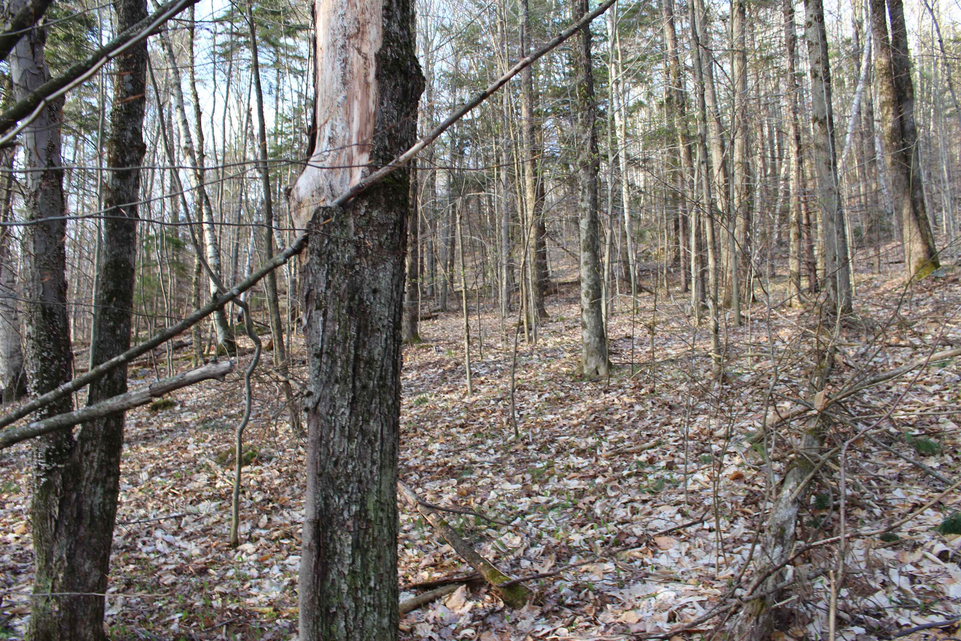 MLS #5026658 image #17