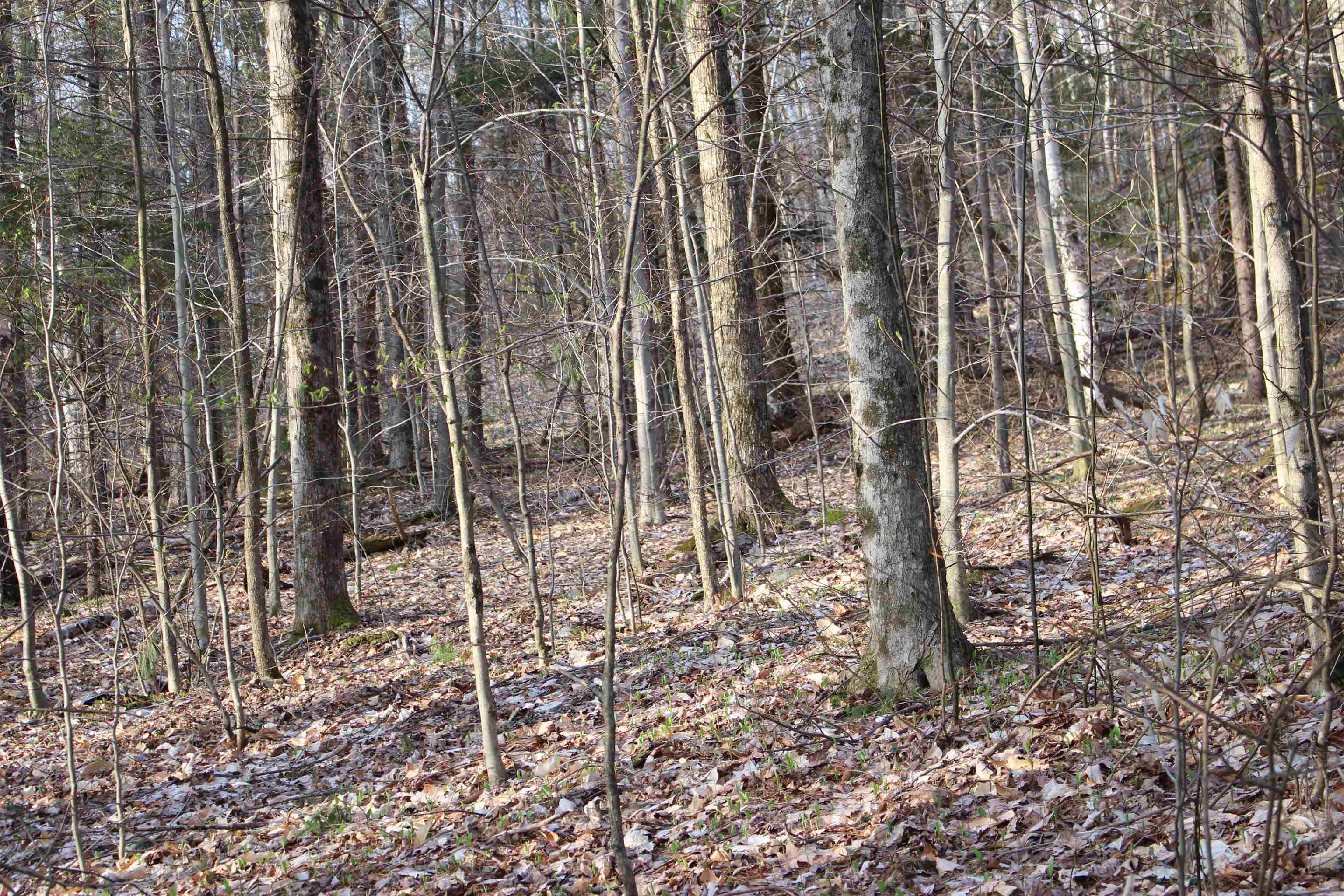 MLS #5026658 image #18