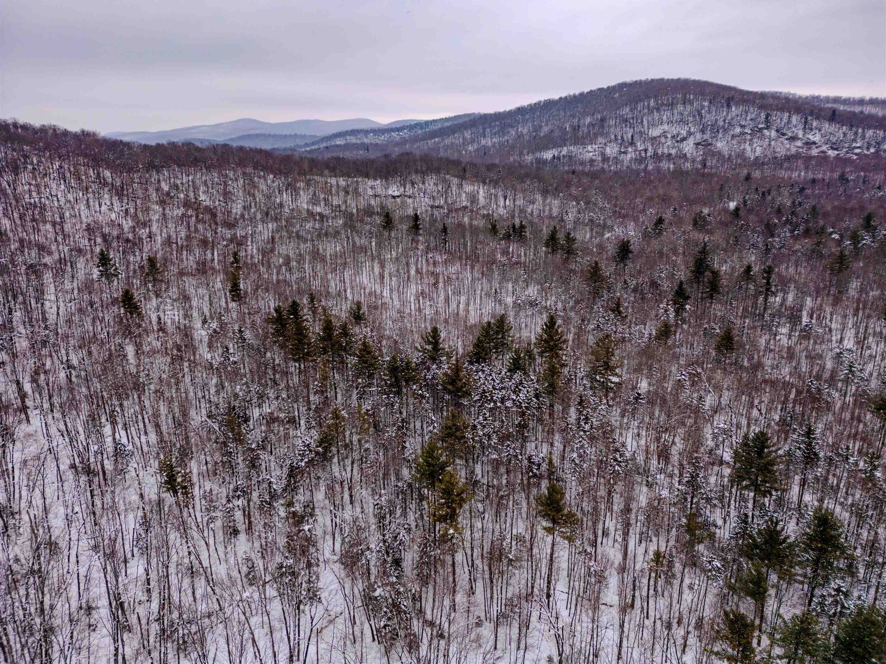 MLS #5026658 image #19