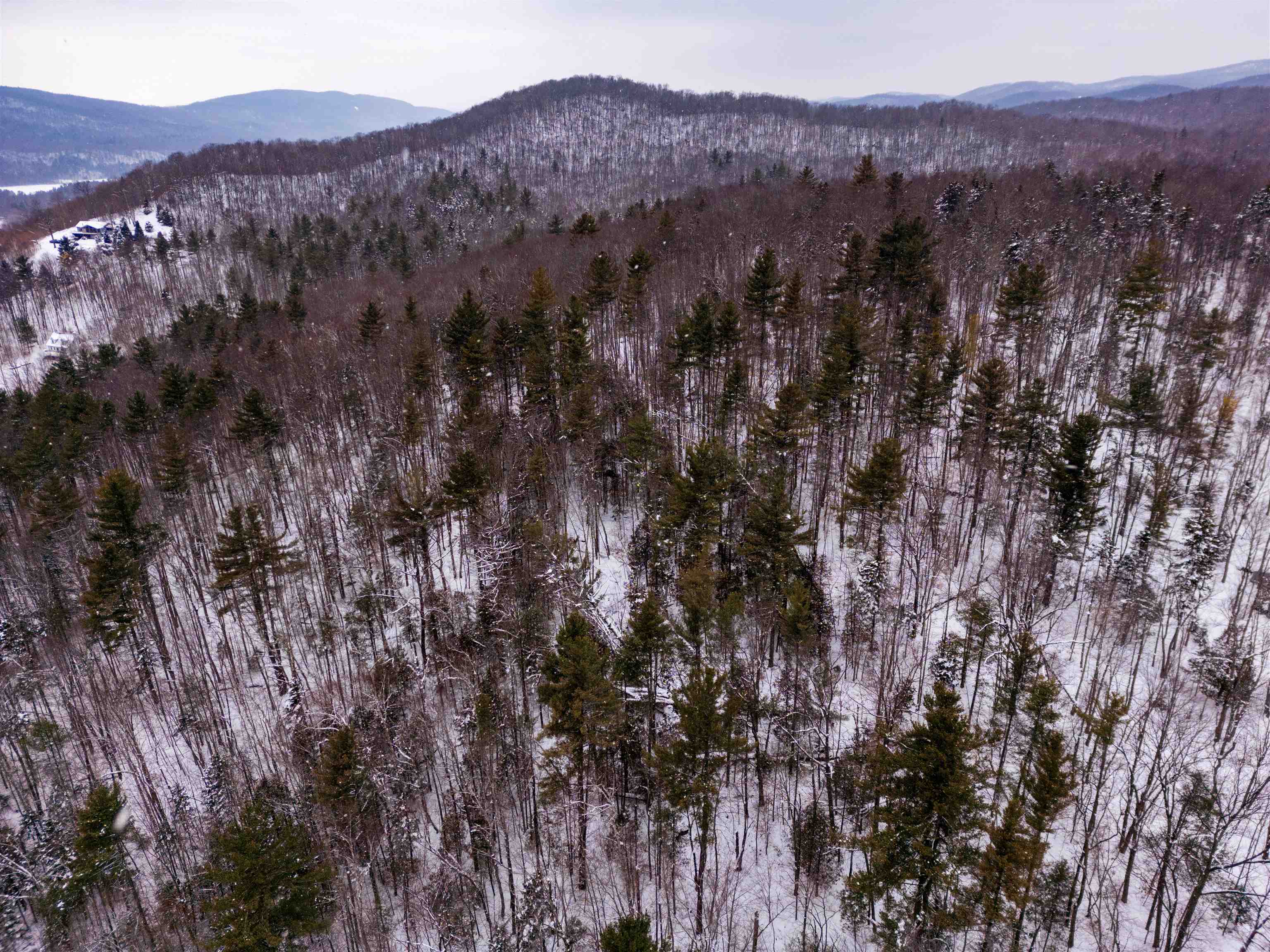 MLS #5026658 image #3