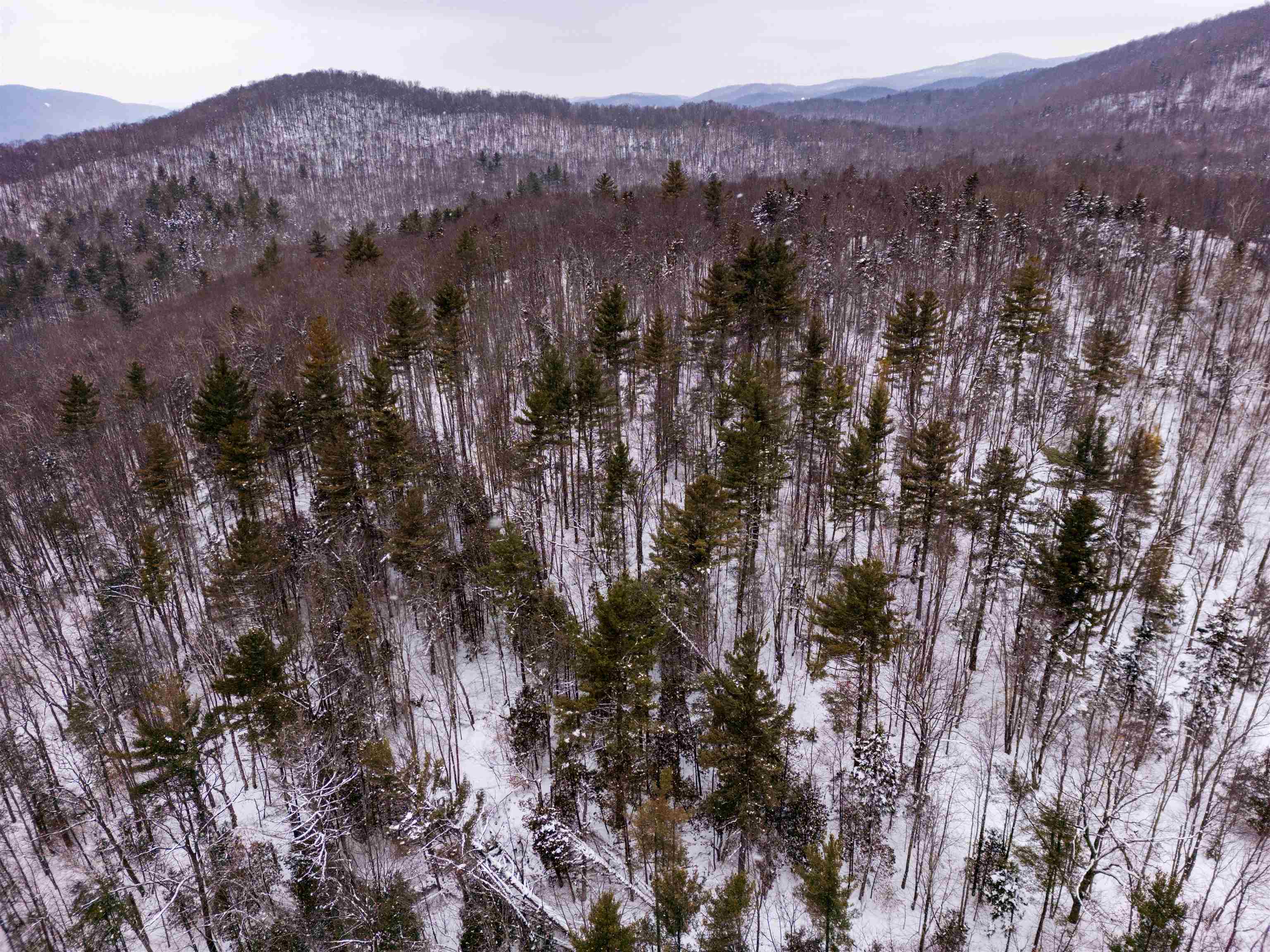 MLS #5026658 image #4